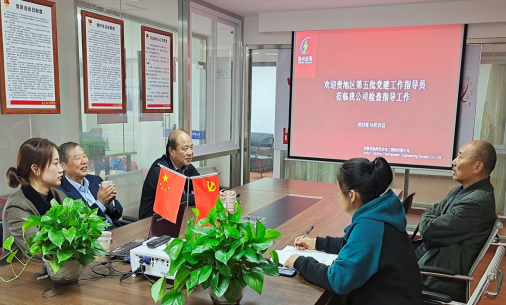 貴池區(qū)派駐非公企業(yè)黨建工作指導員深入我司檢查指導黨建工作